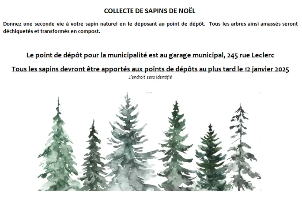 Collecte de sapins 2025