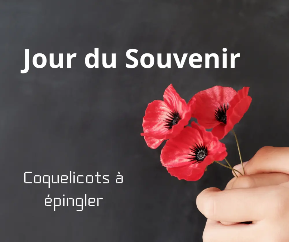 Coquelicot a epingler